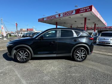 467446500_1134736058653021_8886817978149869363_n