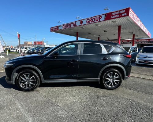 467446500_1134736058653021_8886817978149869363_n