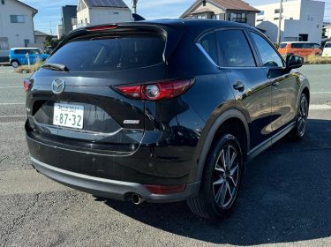 467511961_1134735781986382_8563385103662108526_n