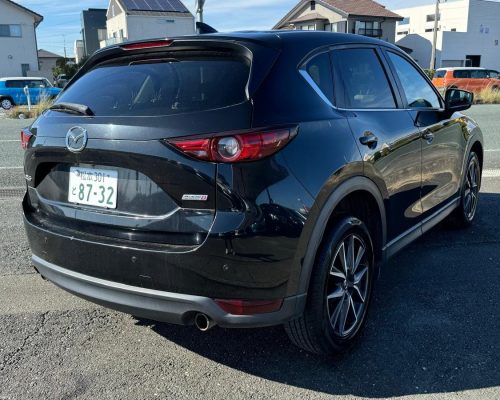 467511961_1134735781986382_8563385103662108526_n