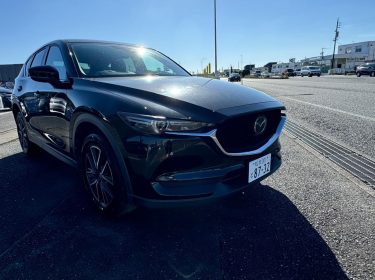 467537884_1134735545319739_1193589373551559336_n