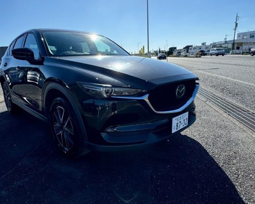 467537884_1134735545319739_1193589373551559336_n