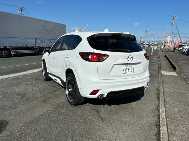 467853946_1137305771729383_457292258717292196_n