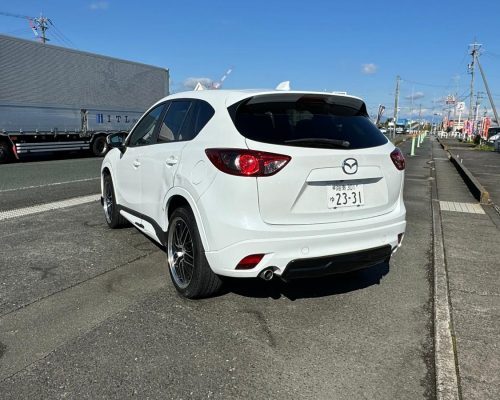 467853946_1137305771729383_457292258717292196_n