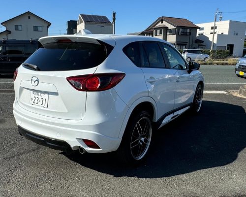 467876465_1137305685062725_8545737361975203609_n