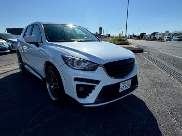 467947966_1137305681729392_7753546105994469211_n