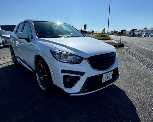 467947966_1137305681729392_7753546105994469211_n