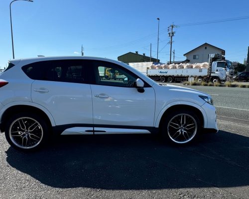 467975626_1137305785062715_40478258935672427_n