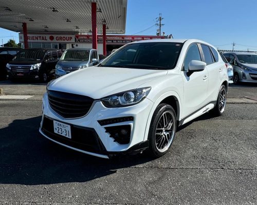 468037154_1137305688396058_7693631715086391038_n-1