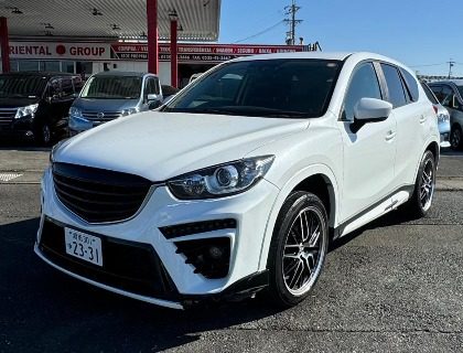 468037154_1137305688396058_7693631715086391038_n