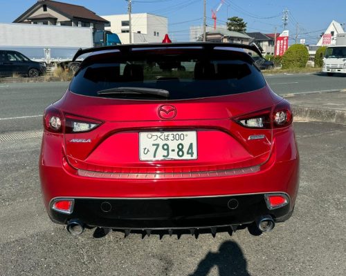 468074776_1138079921651968_7815432749530165304_n