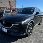 467474282_1134735708653056_6157302393877037810_n